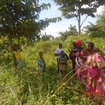 UCF team surveying a prospective sorghum farmer's land