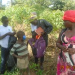 UCF team surveying a prospective sorghum farmer's land